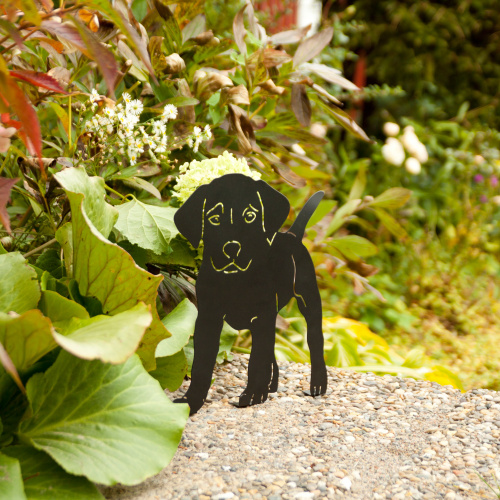 Wildlife Garden animal silhouette - puppy