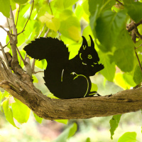 Wildlife Garden Tiersilhouette - Eichhörnchen