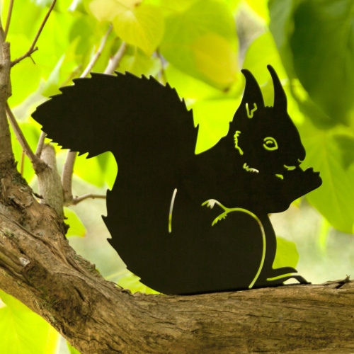 Wildlife Garden animal silhouette - squirrel