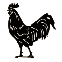 Dieren in het Wildlife Garden dier silhouet - haan