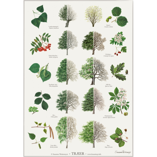 Koustrup & Co. poster with trees - A2 (Danish)