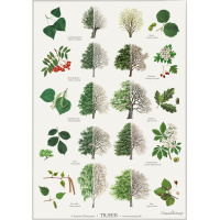Koustrup & Co. affisch med träd - A2 (dansk)