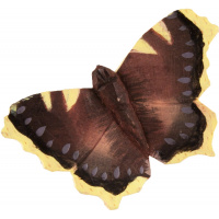 Wildlife Garden butterfly - mourning cloak