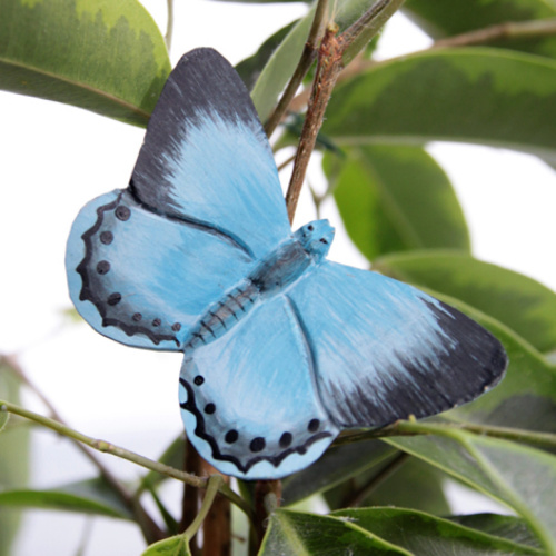 De vlinder van Wildlife Garden - blauwvleugel