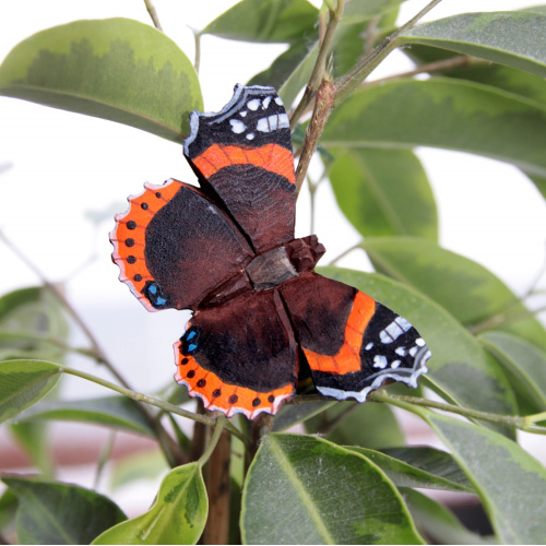 Wildlife Garden vlinder - admiraal
