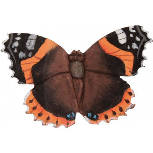 Wildlife Garden butterfly - admiral
