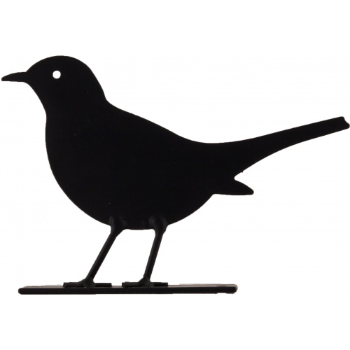 Wildlife Garden bird silhouette - blackbird