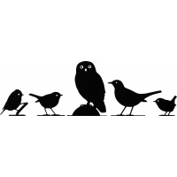 Wildlife Garden bird silhouette - blackbird