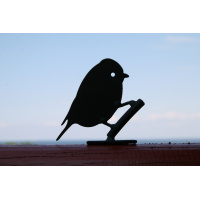 Wildlife Garden bird silhouette - blue tit
