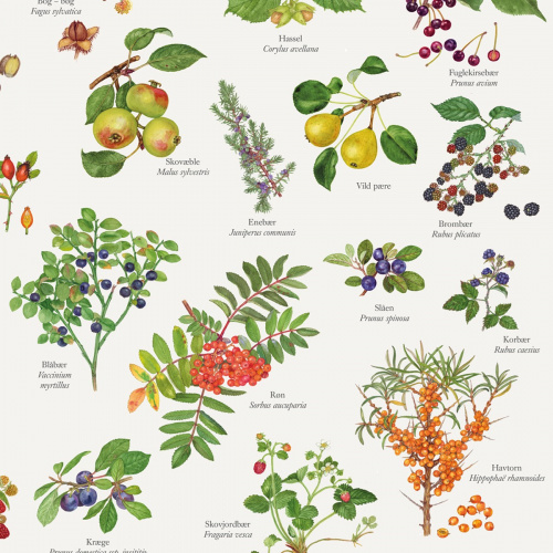 Koustrup & Co. affisch med ätbara vilda frukter - A2 (dansk)