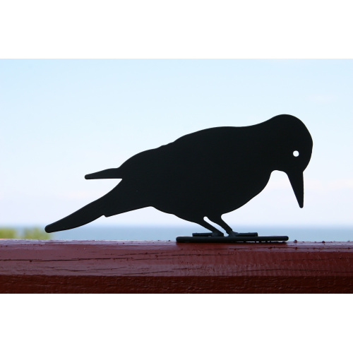 Wildlife Garden bird silhouette - flag woodpecker