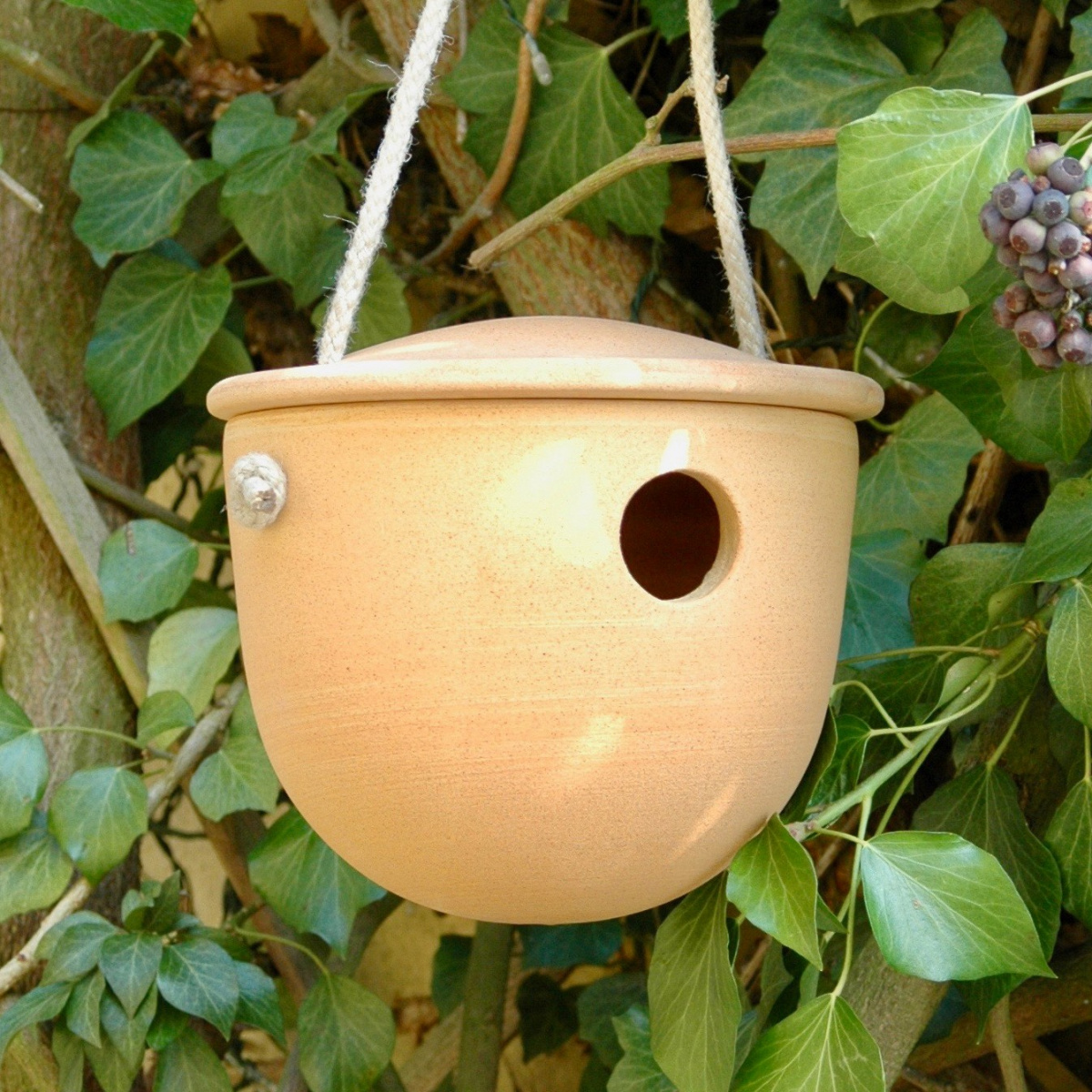 Denk nest box with rope