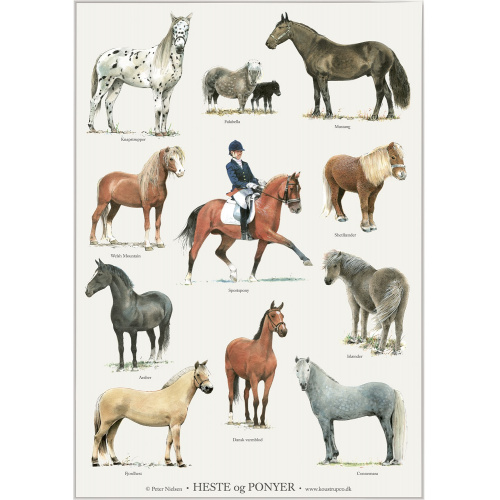 Koustrup & Co. affisch med hästar och ponnyer - A2 (dansk)