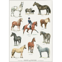 Koustrup & Co. poster with horses and ponies - A2 (Danish)