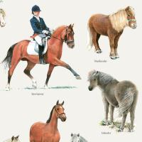 Koustrup & Co. Poster mit Pferden und Ponys - A2 (Dänisch)