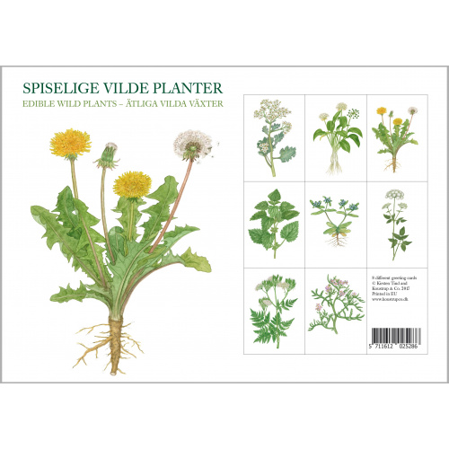 Koustrup & Co. card folder - edible wild plants