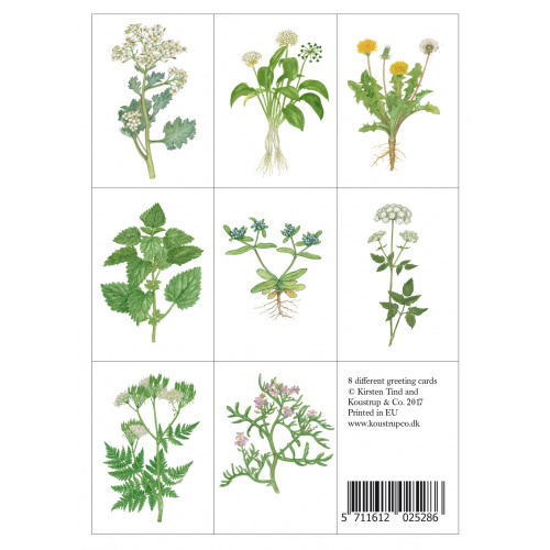Koustrup & Co. card folder - edible wild plants