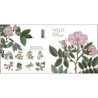 Flora Danica kaartenmapje - wilde roos