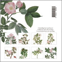Flora Danica card folder - wild rose