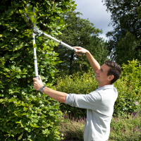 Burgon & Ball hedge shears with telescopic handle