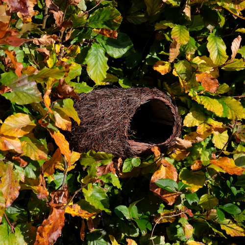 Wildlife World nest box for robin - wicker