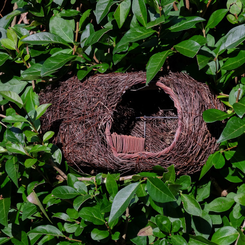 Wildlife World fågelholk för robin - rotting