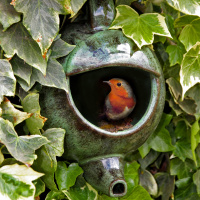 Wildlife World teapot nest box