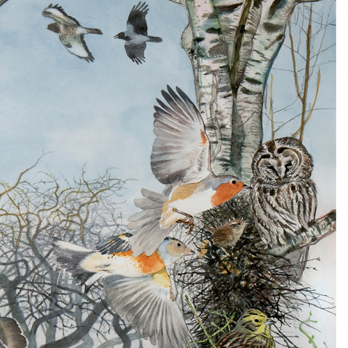 Koustrup & Co. art print in B2 - Bird life