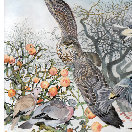 Koustrup & Co. art print in B2 - Bird life