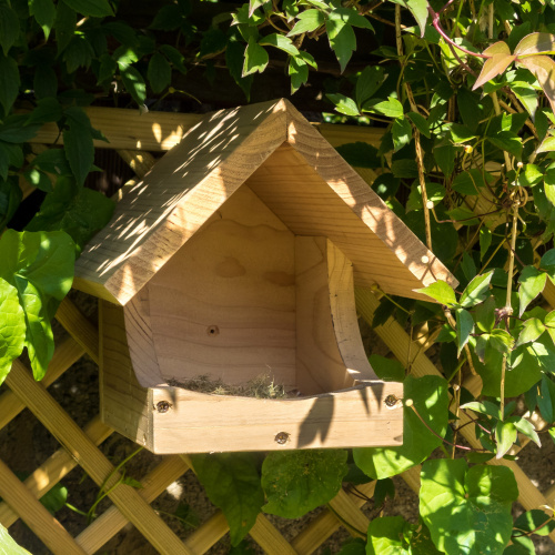 Wildlife World nesting box for blackbird