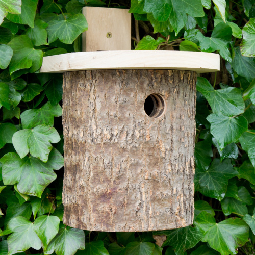 Wildlife World Vogelhaus aus Holz