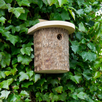 Wildlife World log nest box