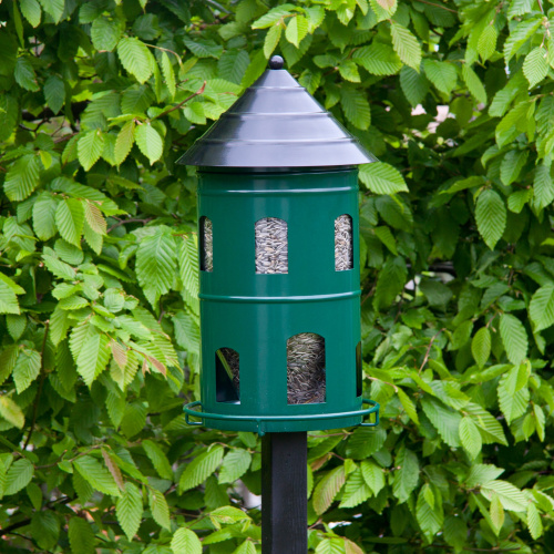 Wildlife Garden giant automatic feeder - green