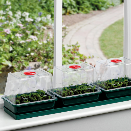 Girlanden-Minigewächshaus mit Selbstbewässerung – 3 Tabletts