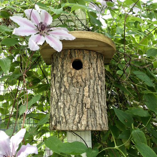 Wildlife World Vogelhaus aus Holz