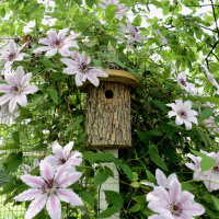 Wildlife World log nest box