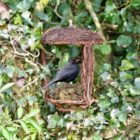 Wildlife World open wicker bird nest
