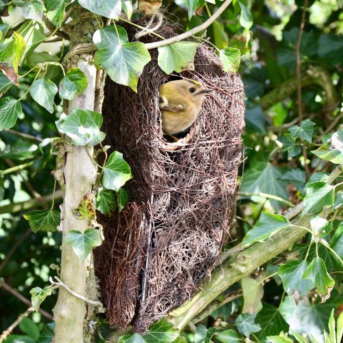Wildlife World camouflage wicker nest box