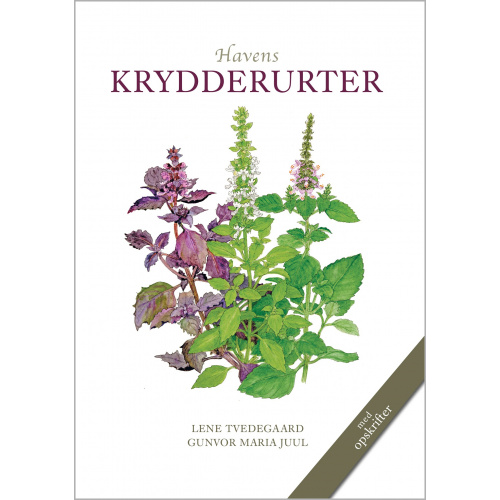 Koustrup's small whites - Haven's herbs