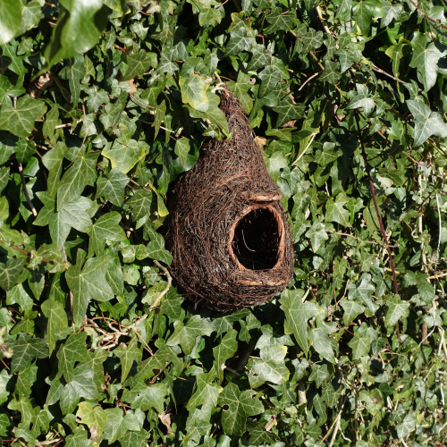 Wildlife World wicker nest box for robin