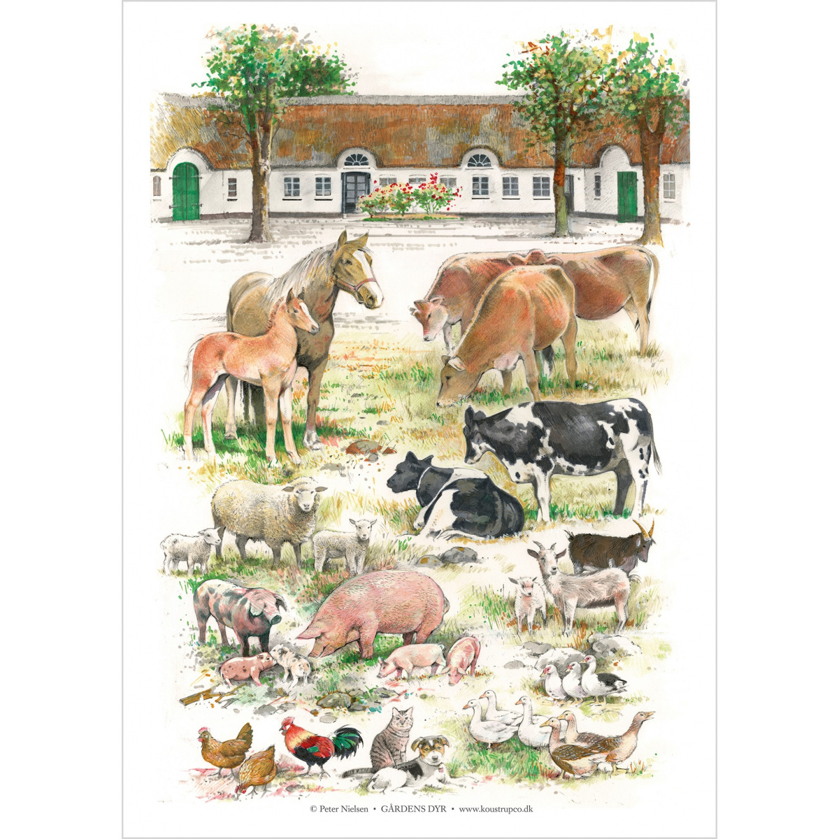 Koustrup & Co. poster with farm animals - A2 (Danish)