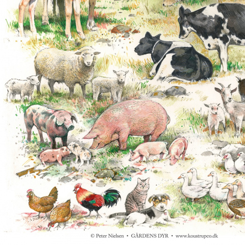 Koustrup & Co. poster met boerderijdieren - A2 (Deens)