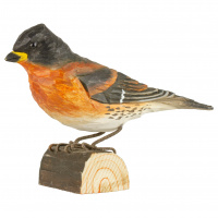 Wildlife Garden boomvogel - Quaker Finch