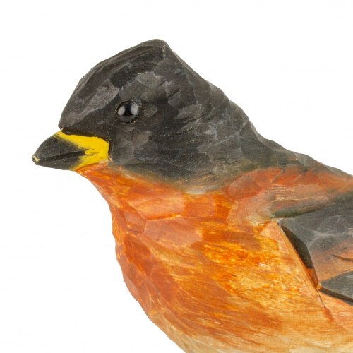 Wildlife Garden träfågel Quaker Finch