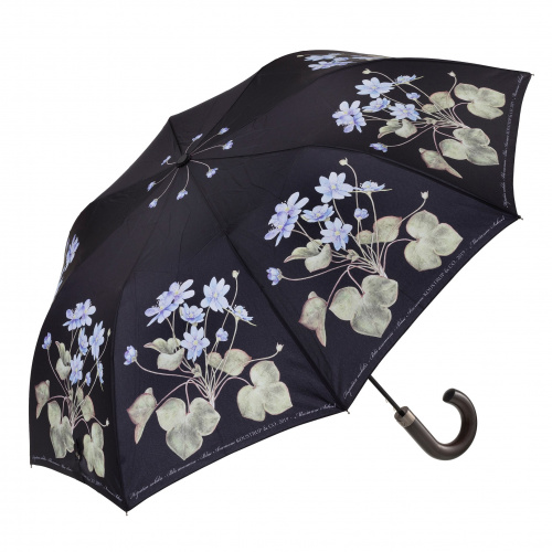 Koustrup & Co. opvouwbare paraplu met blauwe anemoon