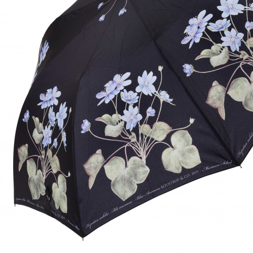 Koustrup & Co. opvouwbare paraplu met blauwe anemoon