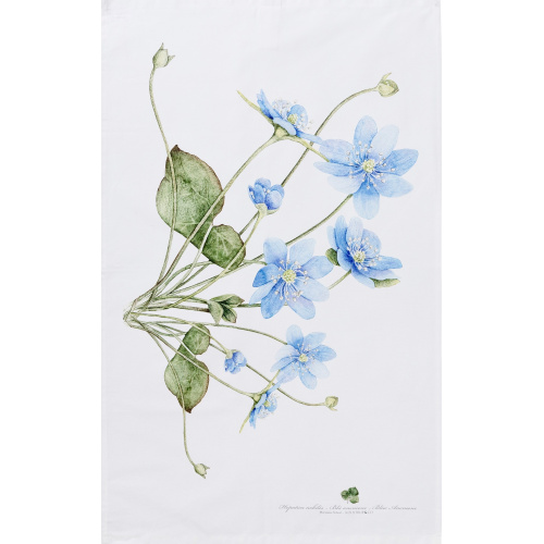 Koustrup & Co. eco theedoek - blauwe anemoon
