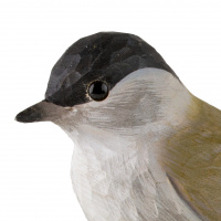 Wildlife Garden boomvogel - Monnik