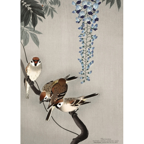 Koustrup & Co. art print with wood sparrow
