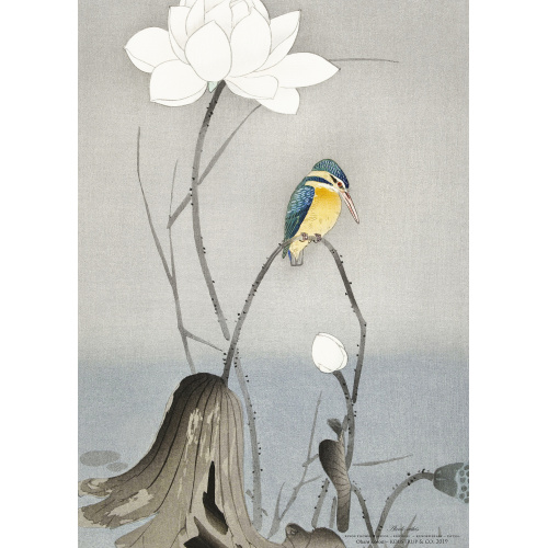 Koustrup & Co. Kunstdruck mit Eisvogel